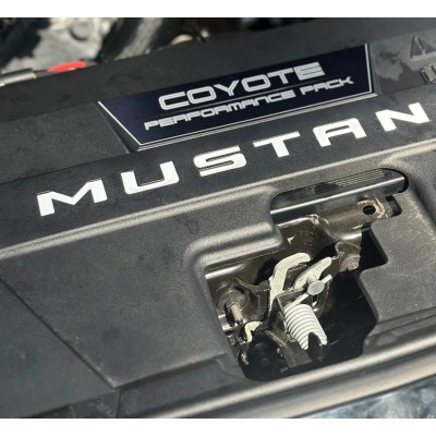 AR Lettrage Plaque de Radiateur Blanc Lustré 2024+ Mustang